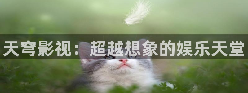 红桃影视ht-永久在线入口