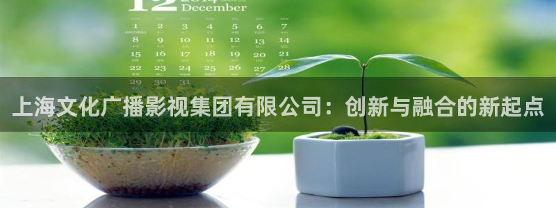 红桃视频国产电影：上海文化广播影视集团有限公司：创新与融合的新起点