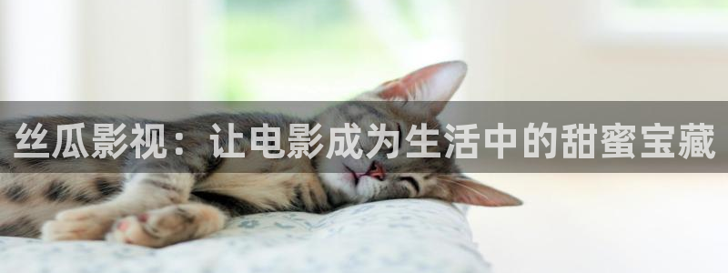 红桃影视在线观看免费完整版