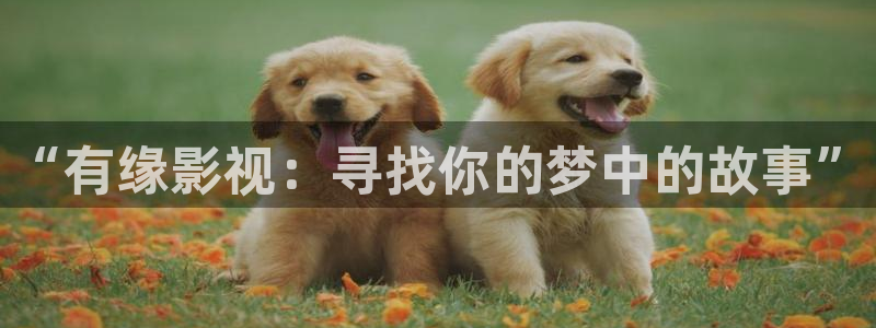 电影红桃视频