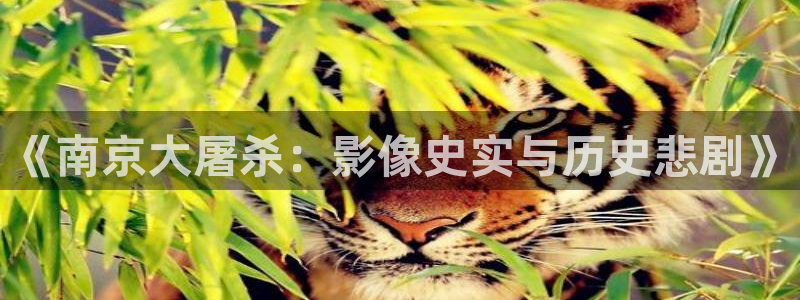 红桃影视网站：《南京大屠杀：影像史实与历史悲剧》