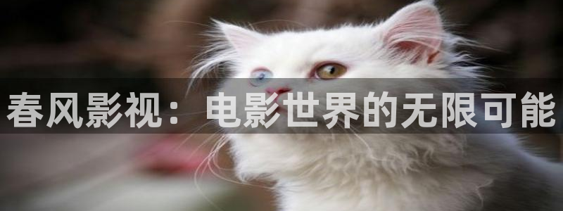 红桃国际影院：春风影视：电影世界的无限可能