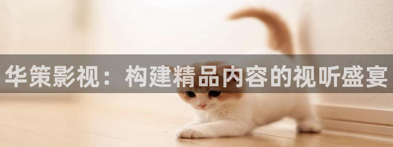 红桃网站红桃影院：华策影视：构建精品内容的视听盛宴
