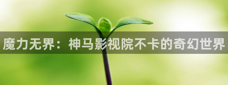 红桃影院在线视频观看
